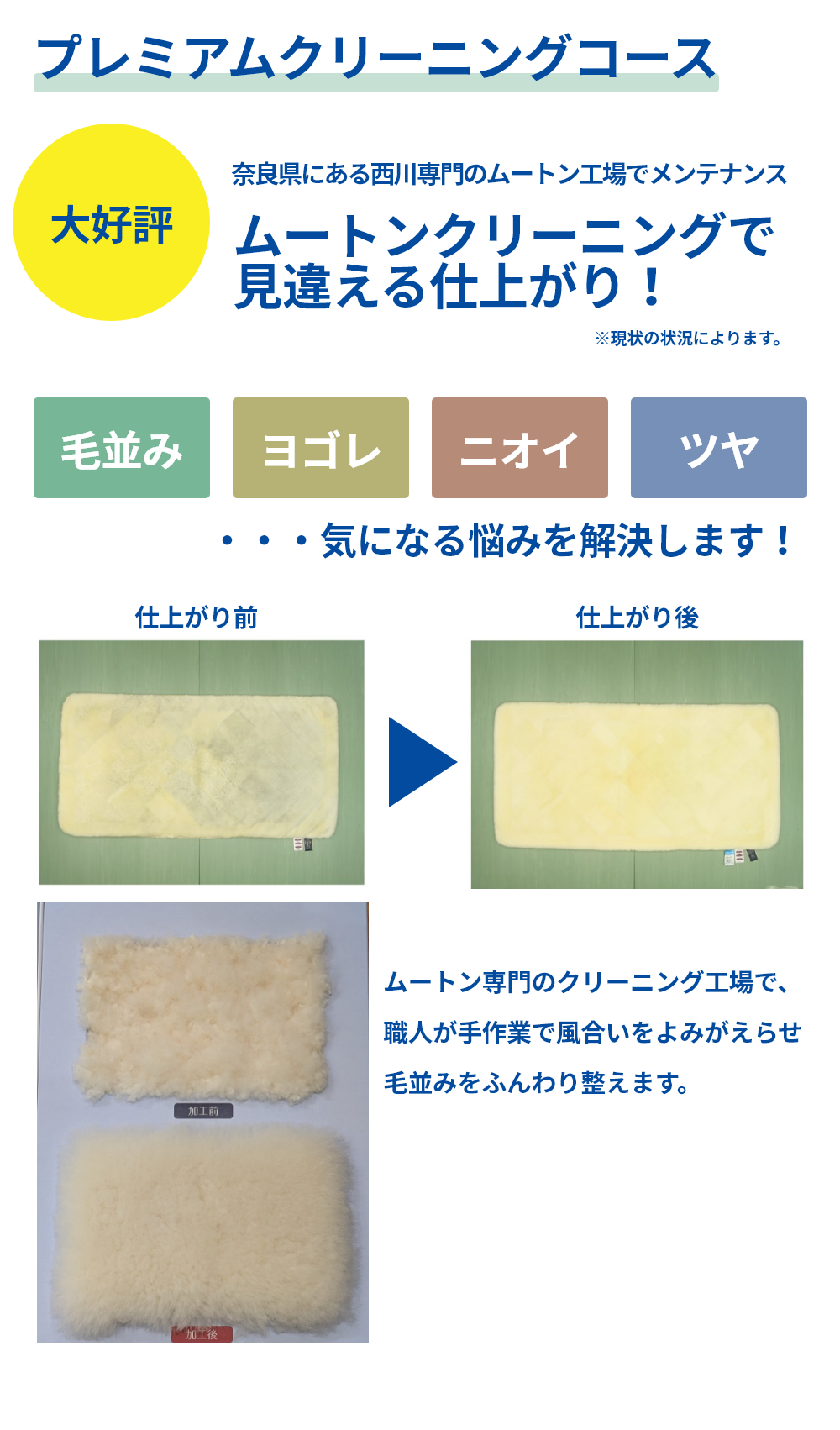 ムートンプレミアムクリーニングコース