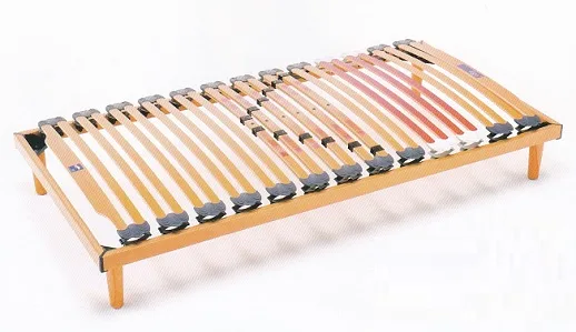 エゴ本体