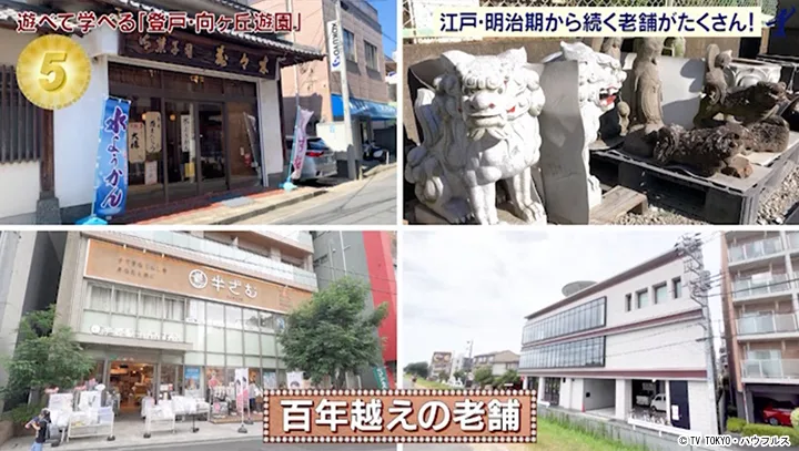 メディア掲載実績