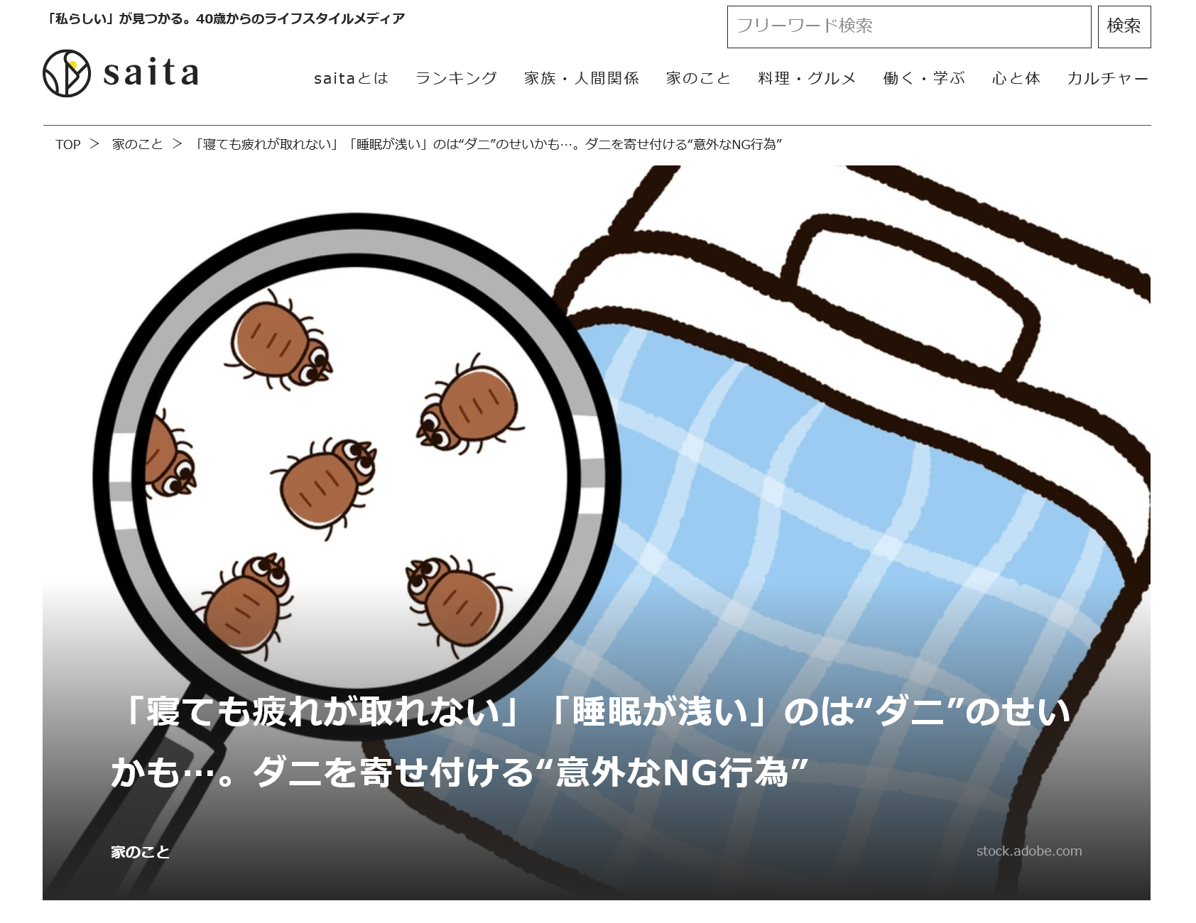 メディア掲載実績